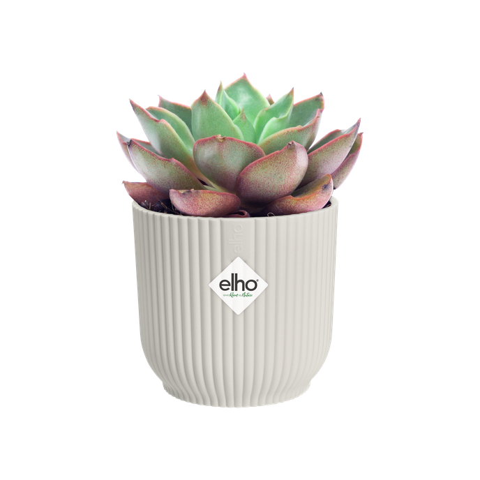 vibes fold round mini 9cm silky white